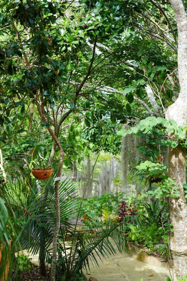 El Paraiso Posada Finca San Vicente Barichara Exteriér fotografie